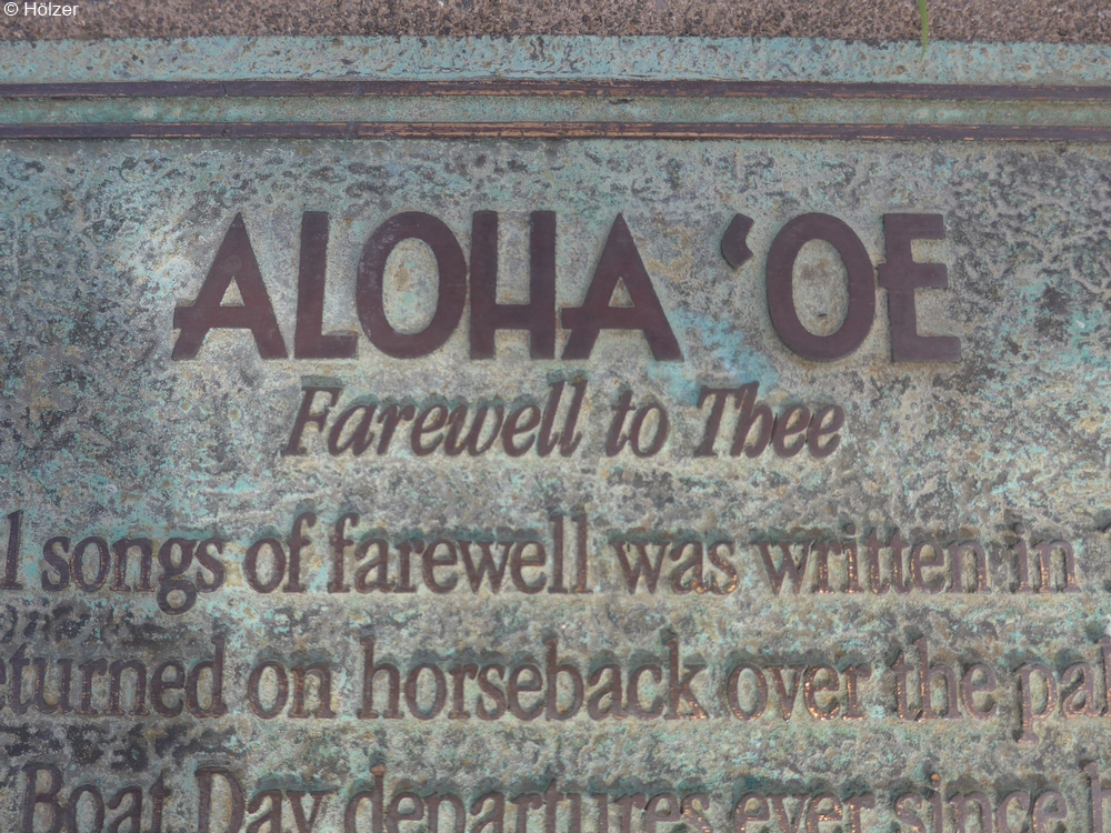 hoe-2018-02-06-Honolulu-P1070300p.jpg