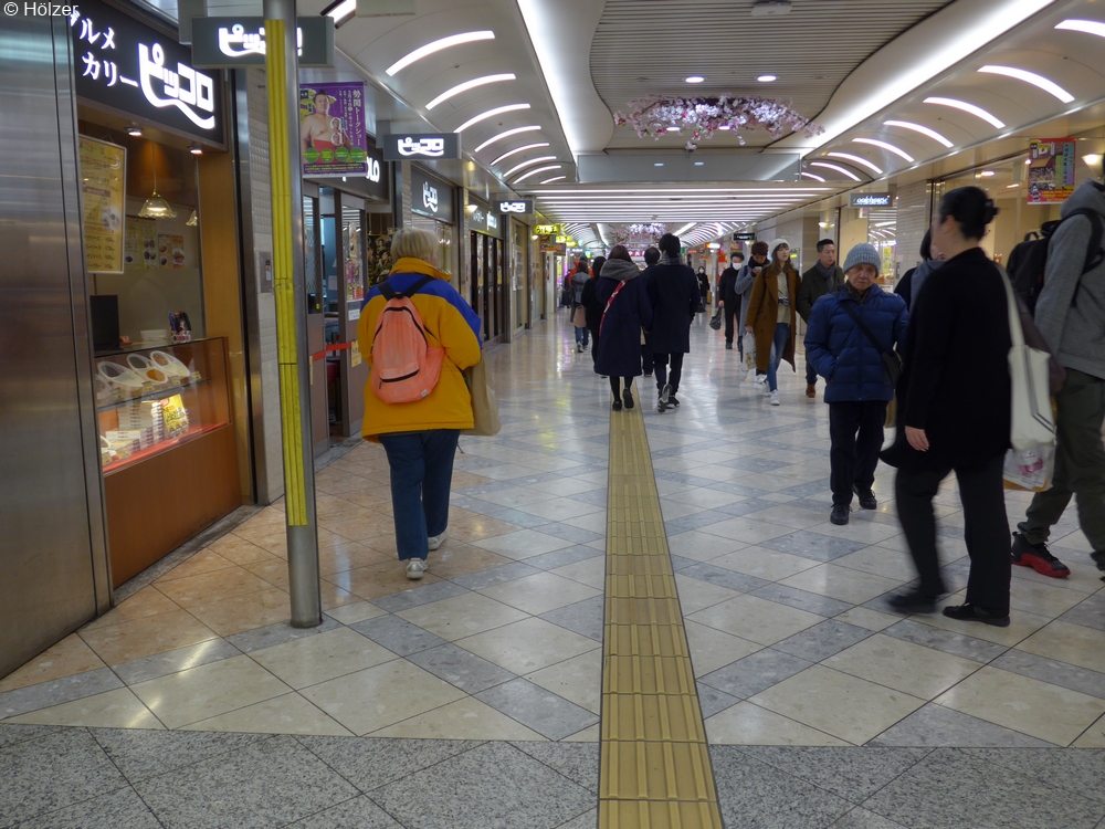 hoe-2018-02-21-Osaka-P1070889p.jpg