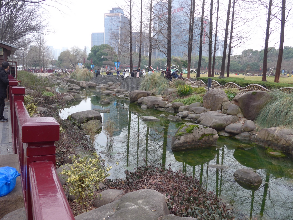 hoe-2018-03-03-Shanghai-P1080431d.jpg