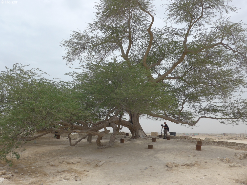 hoe-2018-04-09-Manama-P1100238p.jpg
